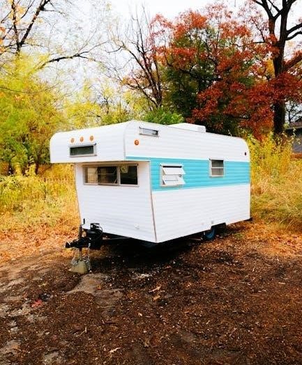 junior camper badge requirements pdf