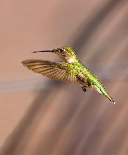 ruby sanctum wotlk guide